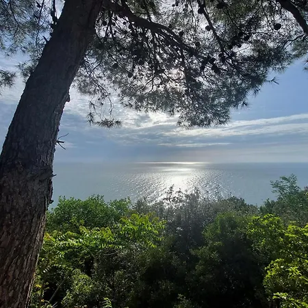 Biancarda