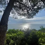 Biancarda