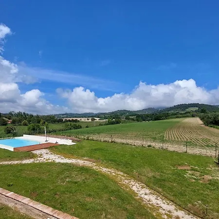 Biancarda *