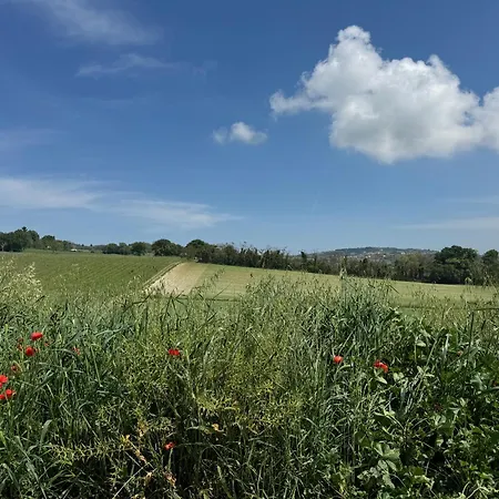 Biancarda アパート *