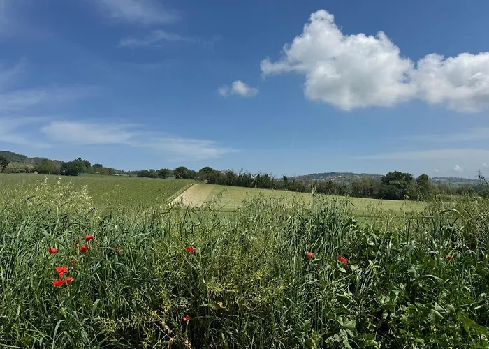 Biancarda 아파트 *